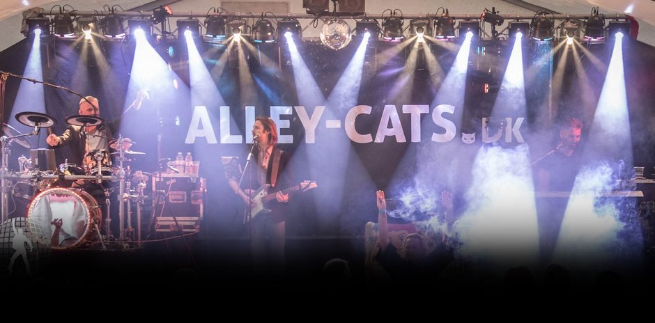 Alley Cats